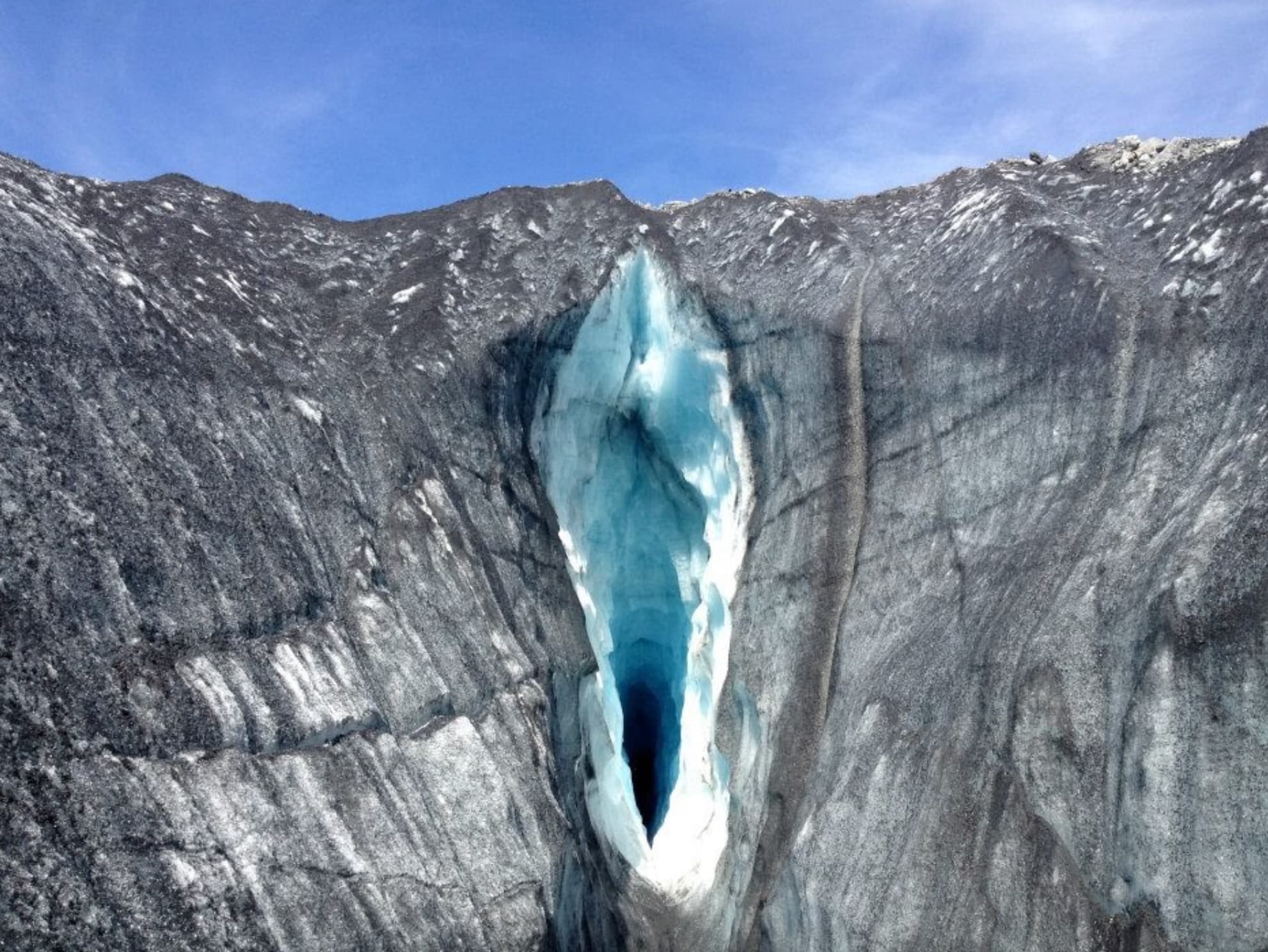 looks like vagina